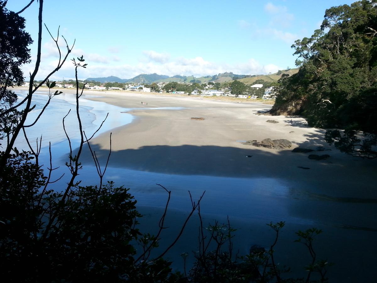 Bed and Breakfast Kotare Ridge Waihi Exteriér fotografie